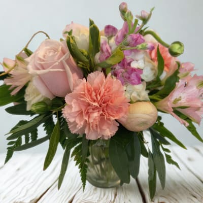 Blush Bloom Delight: reference floral photograph