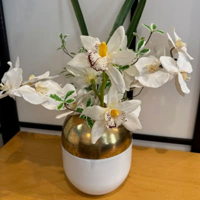 Stunning Orchids: reference floral photograph