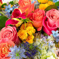 Designer's Choice: Seasonal Mix: reference floral photograph