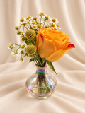 Petite orange rose + chamomile + craspedia arrangement